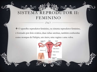 SISTEMA REPRODUTOR II:
FEMININO
 O aparelho reprodutor feminino, ou sistema reprodutor feminino,
é formado por dois ovários, duas tubas uterinas, também conhecidas
como trompas de Falópio, um útero, uma vagina e uma vulva.
 