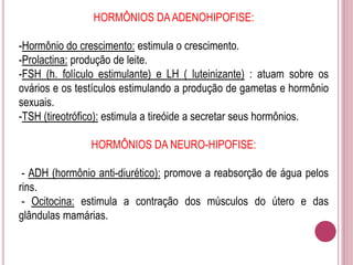 HORMÔNIOS DAADENOHIPOFISE:
-Hormônio do crescimento: estimula o crescimento.
-Prolactina: produção de leite.
-FSH (h. folículo estimulante) e LH ( luteinizante) : atuam sobre os
ovários e os testículos estimulando a produção de gametas e hormônio
sexuais.
-TSH (tireotrófico): estimula a tireóide a secretar seus hormônios.
HORMÔNIOS DA NEURO-HIPOFISE:
- ADH (hormônio anti-diurético): promove a reabsorção de água pelos
rins.
- Ocitocina: estimula a contração dos músculos do útero e das
glândulas mamárias.
 