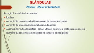 Secreção 2 hormônios importantes:
 Insulina
 Aumento do transporte de glicose através da membrana celular
 Aumento da intensidade do metabolismo da glicose
 Ausência de insulina (diabetes) – células utilizam gorduras e proteínas para energia
(aumento da concentração de glicose no sangue e ácidos graxos)
GLÂNDULAS
Pâncreas – Ilhotas de Langerhans
 