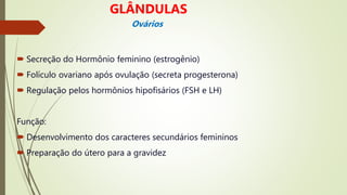  Secreção do Hormônio feminino (estrogênio)
 Folículo ovariano após ovulação (secreta progesterona)
 Regulação pelos hormônios hipofisários (FSH e LH)
Função:
 Desenvolvimento dos caracteres secundários femininos
 Preparação do útero para a gravidez
GLÂNDULAS
Ovários
 