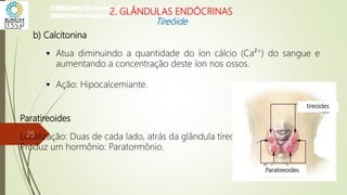 b) Calcitonina
 Atua diminuindo a quantidade do íon cálcio (Ca²+
) do sangue e
aumentando a concentração deste íon nos ossos.
 Ação: Hipocalcemiante.
Paratireoides
Localização: Duas de cada lado, atrás da glândula tireoide.
Produz um hormônio: Paratormônio.
Paratireoides
tireoides
CIÊNCIAS, 8º Ano do Ensino Fundamental
Glândulas e suas funções
CIÊNCIAS, 8º Ano do Ensino Fundamental
Glândulas e suas funções
CIÊNCIAS, 8º Ano do Ensino Fundamental
Glândulas e suas funções
CIÊNCIAS, 8º Ano do Ensino Fundamental
Glândulas e suas funções
CIÊNCIAS, 8º Ano do Ensino Fundamental
Glândulas e suas funções
CIÊNCIAS, 8º Ano do Ensino Fundamental
Glândulas e suas funções
CIÊNCIAS, 8º Ano do Ensino Fundamental
Glândulas e suas funções
CIÊNCIAS, 8º Ano do Ensino Fundamental
Glândulas e suas funções
2. GLÂNDULAS ENDÓCRINAS
Tireóide
25
 