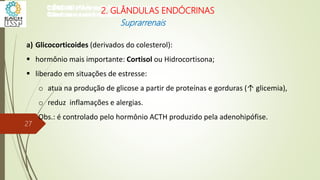 a) Glicocorticoides (derivados do colesterol):
 hormônio mais importante: Cortisol ou Hidrocortisona;
 liberado em situações de estresse:
o atua na produção de glicose a partir de proteínas e gorduras (↑ glicemia),
o reduz inflamações e alergias.
Obs.: é controlado pelo hormônio ACTH produzido pela adenohipófise.
CIÊNCIAS, 8º Ano do Ensino Fundamental
Glândulas e suas funções
CIÊNCIAS, 8º Ano do Ensino Fundamental
Glândulas e suas funções
CIÊNCIAS, 8º Ano do Ensino Fundamental
Glândulas e suas funções
CIÊNCIAS, 8º Ano do Ensino Fundamental
Glândulas e suas funções
CIÊNCIAS, 8º Ano do Ensino Fundamental
Glândulas e suas funções
CIÊNCIAS, 8º Ano do Ensino Fundamental
Glândulas e suas funções
CIÊNCIAS, 8º Ano do Ensino Fundamental
Glândulas e suas funções
CIÊNCIAS, 8º Ano do Ensino Fundamental
Glândulas e suas funções
CIÊNCIAS, 8º Ano do Ensino Fundamental
Glândulas e suas funções
CIÊNCIAS, 8º Ano do Ensino Fundamental
Glândulas e suas funções
2. GLÂNDULAS ENDÓCRINAS
Suprarrenais
27
 