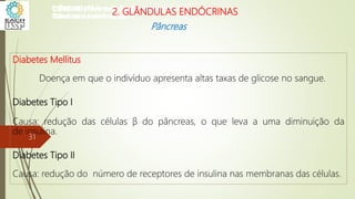 Diabetes Mellitus
Doença em que o indivíduo apresenta altas taxas de glicose no sangue.
Diabetes Tipo I
Causa: redução das células β do pâncreas, o que leva a uma diminuição da
de insulina.
Diabetes Tipo II
Causa: redução do número de receptores de insulina nas membranas das células.
CIÊNCIAS, 8º Ano do Ensino Fundamental
Glândulas e suas funções
CIÊNCIAS, 8º Ano do Ensino Fundamental
Glândulas e suas funções
CIÊNCIAS, 8º Ano do Ensino Fundamental
Glândulas e suas funções
CIÊNCIAS, 8º Ano do Ensino Fundamental
Glândulas e suas funções
CIÊNCIAS, 8º Ano do Ensino Fundamental
Glândulas e suas funções
CIÊNCIAS, 8º Ano do Ensino Fundamental
Glândulas e suas funções
CIÊNCIAS, 8º Ano do Ensino Fundamental
Glândulas e suas funções
CIÊNCIAS, 8º Ano do Ensino Fundamental
Glândulas e suas funções
CIÊNCIAS, 8º Ano do Ensino Fundamental
Glândulas e suas funções
CIÊNCIAS, 8º Ano do Ensino Fundamental
Glândulas e suas funções
CIÊNCIAS, 8º Ano do Ensino Fundamental
Glândulas e suas funções
CIÊNCIAS, 8º Ano do Ensino Fundamental
Glândulas e suas funções
2. GLÂNDULAS ENDÓCRINAS
Pâncreas
31
 