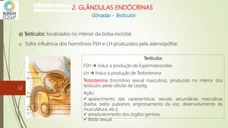 a) Testículos: localizados no interior da bolsa escrotal.
o Sofre influência dos hormônios FSH e LH produzidos pela adenoipófise.
Testículos
FSH  induz à produção de Espermatozoides
LH  Induz à produção de Testosterona
Testosterona (hormônio sexual masculino), produzido no interior dos
testículos pelas células de Leydig.
Ação:
 aparecimento das características sexuais secundárias masculinas
(barba, pelos pubianos, engrossamento da voz, desenvolvimento da
musculatura, etc.);
 amadurecimento dos órgãos genitais;
 libido sexual.
CIÊNCIAS, 8º Ano do Ensino Fundamental
Glândulas e suas funções
CIÊNCIAS, 8º Ano do Ensino Fundamental
Glândulas e suas funções
CIÊNCIAS, 8º Ano do Ensino Fundamental
Glândulas e suas funções
CIÊNCIAS, 8º Ano do Ensino Fundamental
Glândulas e suas funções
CIÊNCIAS, 8º Ano do Ensino Fundamental
Glândulas e suas funções
CIÊNCIAS, 8º Ano do Ensino Fundamental
Glândulas e suas funções
CIÊNCIAS, 8º Ano do Ensino Fundamental
Glândulas e suas funções
CIÊNCIAS, 8º Ano do Ensino Fundamental
Glândulas e suas funções
CIÊNCIAS, 8º Ano do Ensino Fundamental
Glândulas e suas funções
CIÊNCIAS, 8º Ano do Ensino Fundamental
Glândulas e suas funções
CIÊNCIAS, 8º Ano do Ensino Fundamental
Glândulas e suas funções
CIÊNCIAS, 8º Ano do Ensino Fundamental
Glândulas e suas funções
2. GLÂNDULAS ENDÓCRINAS
Gônadas - Testículos
32
 