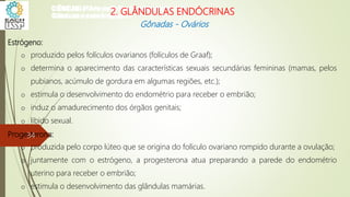 Estrógeno:
o produzido pelos folículos ovarianos (folículos de Graaf);
o determina o aparecimento das características sexuais secundárias femininas (mamas, pelos
pubianos, acúmulo de gordura em algumas regiões, etc.);
o estimula o desenvolvimento do endométrio para receber o embrião;
o induz o amadurecimento dos órgãos genitais;
o libido sexual.
Progesterona:
o produzida pelo corpo lúteo que se origina do folículo ovariano rompido durante a ovulação;
o juntamente com o estrógeno, a progesterona atua preparando a parede do endométrio
uterino para receber o embrião;
o estimula o desenvolvimento das glândulas mamárias.
CIÊNCIAS, 8º Ano do Ensino Fundamental
Glândulas e suas funções
CIÊNCIAS, 8º Ano do Ensino Fundamental
Glândulas e suas funções
CIÊNCIAS, 8º Ano do Ensino Fundamental
Glândulas e suas funções
CIÊNCIAS, 8º Ano do Ensino Fundamental
Glândulas e suas funções
CIÊNCIAS, 8º Ano do Ensino Fundamental
Glândulas e suas funções
CIÊNCIAS, 8º Ano do Ensino Fundamental
Glândulas e suas funções
CIÊNCIAS, 8º Ano do Ensino Fundamental
Glândulas e suas funções
CIÊNCIAS, 8º Ano do Ensino Fundamental
Glândulas e suas funções
CIÊNCIAS, 8º Ano do Ensino Fundamental
Glândulas e suas funções
CIÊNCIAS, 8º Ano do Ensino Fundamental
Glândulas e suas funções
CIÊNCIAS, 8º Ano do Ensino Fundamental
Glândulas e suas funções
CIÊNCIAS, 8º Ano do Ensino Fundamental
Glândulas e suas funções
CIÊNCIAS, 8º Ano do Ensino Fundamental
Glândulas e suas funções
CIÊNCIAS, 8º Ano do Ensino Fundamental
Glândulas e suas funções
2. GLÂNDULAS ENDÓCRINAS
Gônadas - Ovários
34
 