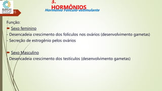 Função:
 Sexo feminino
- Desencadeia crescimento dos folículos nos ovários (desenvolvimento gametas)
- Secreção de estrogênio pelos ovários
 Sexo Masculino
- Desencadeia crescimento dos testículos (desenvolvimento gametas)
35
3.
HORMÔNIOS
Hormônio Folículo-estimulante
 
