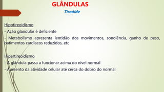 Hipotireoidismo
- Ação glandular é deficiente
- Metabolismo apresenta lentidão dos movimentos, sonolência, ganho de peso,
batimentos cardíacos reduzidos, etc
Hipertireoidismo
- A glândula passa a funcionar acima do nível normal
- Aumento da atividade celular até cerca do dobro do normal
GLÂNDULAS
Tireóide
 