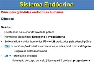 SSiisstteemmaa EEnnddóóccrriinnoo 
Principais glândulas endócrinas humanas 
Gônadas 
Ovários 
- Localizados no interior da cavidade pélvica 
- Hormônios produzidos: Estrógeno e Progesterona 
- Sofrem influência dos hormônios FSH e LH produzidos pela adenohipófise 
- FSH  - maturação dos folículos ovarianos, e estes produzem estrógeno 
- regula os ciclos menstruais 
- LH  - promove a ovulação 
- formação do corpo amarelo (lúteo) que irá produzir progesterona 
 