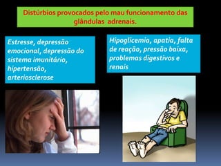 Distúrbios provocados pelo mau funcionamento das
glândulas adrenais.
Hipoglicemia, apatia, falta
de reação, pressão baixa,
problemas digestivos e
renais
Estresse, depressão
emocional, depressão do
sistema imunitário,
hipertensão,
arteriosclerose
 