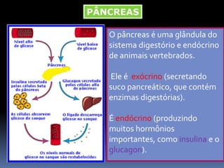 PÂNCREAS
O pâncreas é uma glândula do
sistema digestório e endócrino
de animais vertebrados.
Ele é exócrino (secretando
suco pancreático, que contém
enzimas digestórias).
É endócrino (produzindo
muitos hormônios
importantes, como insulina e o
glucagon).
 