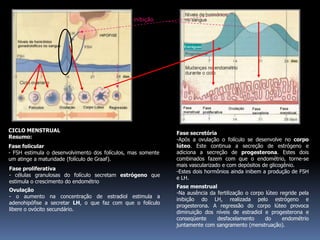 CICLO MENSTRUAL
Resumo:
Fase folicular
- FSH estimula o desenvolvimento dos folículos, mas somente
um atinge a maturidade (folículo de Graaf).
Fase proliferativa
- células granulosas do folículo secretam estrógeno que
estimula o crescimento do endométrio
Ovulação
- o aumento na concentração de estradiol estimula a
adenohipófise a secretar LH, o que faz com que o folículo
libere o ovócito secundário.
Fase secretória
-Após a ovulação o folículo se desenvolve no corpo
lúteo. Este continua a secreção de estrógeno e
adiciona a secreção de progesterona. Estes dois
combinados fazem com que o endométrio, torne-se
mais vascularizado e com depósitos de glicogênio.
-Estes dois hormônios ainda inibem a produção de FSH
e LH.
Fase menstrual
-Na ausência da fertilização o corpo lúteo regride pela
inibição do LH, realizada pelo estrógeno e
progesterona. A regressão do corpo lúteo provoca
diminuição dos níveis de estradiol e progesterona e
conseqüente desfacelamento do endométrio
juntamente com sangramento (menstruação).
Estrógeno
inibição
 