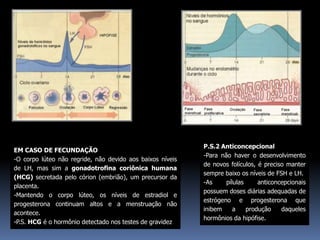 EM CASO DE FECUNDAÇÃO
-O corpo lúteo não regride, não devido aos baixos níveis
de LH, mas sim a gonadotrofina coriônica humana
(HCG) secretada pelo córion (embrião), um precursor da
placenta.
-Mantendo o corpo lúteo, os níveis de estradiol e
progesterona continuam altos e a menstruação não
acontece.
-P.S. HCG é o hormônio detectado nos testes de gravidez
P.S.2 Anticoncepcional
-Para não haver o desenvolvimento
de novos folículos, é preciso manter
sempre baixo os níveis de FSH e LH.
-As pílulas anticoncepcionais
possuem doses diárias adequadas de
estrógeno e progesterona que
inibem a produção daqueles
hormônios da hipófise.
 