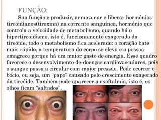 FUNÇÃO:
     Sua função e produzir, armazenar e liberar hormônios
tireoidianos(tiroxina) na corrente sanguínea, hormônio que
controla a velocidade de metabolismo, quando há o
hipertireoidismo, isto é, funcionamento exagerado da
tireóide, todo o metabolismo fica acelerado: o coração bate
mais rápido, a temperatura do corpo se eleva e a pessoa
emagrece porque há um maior gasto de energia. Esse quadro
favorece o desenvolvimento de doenças cardiovasculares, pois
o sangue passa a circular com maior pressão. Pode ocorrer o
bócio, ou seja, um “papo” causado pelo crescimento exagerado
da tireóide. Também pode aparecer a exoftalmia, isto é, os
olhos ficam “saltados”.
 