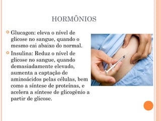 HORMÕNIOS
 Glucagon: eleva o nível de
  glicose no sangue, quando o
  mesmo cai abaixo do normal.
 Insulina: Reduz o nível de
  glicose no sangue, quando
  demasiadamente elevado,
  aumenta a captação de
  aminoácidos pelas células, bem
  como a síntese de proteínas, e
  acelera a síntese de glicogênio a
  partir de glicose. 
 