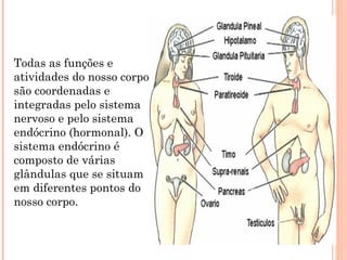 Todas as funções e
atividades do nosso corpo
são coordenadas e
integradas pelo sistema
nervoso e pelo sistema
endócrino (hormonal). O
sistema endócrino é
composto de várias
glândulas que se situam
em diferentes pontos do
nosso corpo.
 