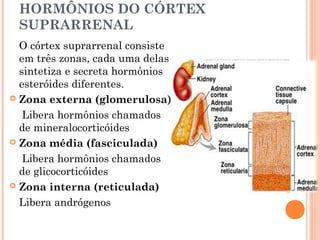 HORMÔNIOS DO CÓRTEX
 SUPRARRENAL
  O córtex suprarrenal consiste
  em três zonas, cada uma delas
  sintetiza e secreta hormônios
  esteróides diferentes.
 Zona externa (glomerulosa)

   Libera hormônios chamados
  de mineralocorticóides
 Zona média (fasciculada)

   Libera hormônios chamados
  de glicocorticóides
 Zona interna (reticulada)

  Libera andrógenos
 