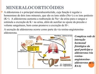 MINERALOCORTICÓIDES
   A aldosterona é o principal mineralocorticóide, cuja função é regular a
    homeostase de dois íons minerais, que são os íons sódio (Na+) e os íons potássio
    (K+). A aldosterona aumenta a reabsorção de Na+ da urina para o sangue e
    estimula a excreção de K+ na urina, além de auxiliar no ajuste da pressão e
    volume sanguíneos, bem como promove a excreção de H+.
    A secreção de aldosterona ocorre como parte da via renina-angiotensina-
    aldosterona.
                                                                    Complexa rede de
                                                                    interação
                                                                    hormonal
                                                                    fisiológica da
                                                                    qual participa a
                                                                    aldosterona (via
                                                                    renina-
                                                                    angiotensina-
                                                                    aldosterona ou S-
                                                                    RAA)
 