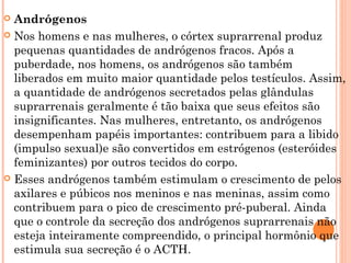  Andrógenos
 Nos homens e nas mulheres, o córtex suprarrenal produz
  pequenas quantidades de andrógenos fracos. Após a
  puberdade, nos homens, os andrógenos são também
  liberados em muito maior quantidade pelos testículos. Assim,
  a quantidade de andrógenos secretados pelas glândulas
  suprarrenais geralmente é tão baixa que seus efeitos são
  insignificantes. Nas mulheres, entretanto, os andrógenos
  desempenham papéis importantes: contribuem para a libido
  (impulso sexual)e são convertidos em estrógenos (esteróides
  feminizantes) por outros tecidos do corpo.
 Esses andrógenos também estimulam o crescimento de pelos
  axilares e púbicos nos meninos e nas meninas, assim como
  contribuem para o pico de crescimento pré-puberal. Ainda
  que o controle da secreção dos andrógenos suprarrenais não
  esteja inteiramente compreendido, o principal hormônio que
  estimula sua secreção é o ACTH.
 