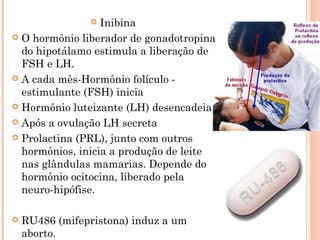  Inibina
 O hormônio liberador de gonadotropina
  do hipotálamo estimula a liberação de
  FSH e LH.
 A cada mês-Hormônio folículo -
  estimulante (FSH) inicia
 Hormônio luteizante (LH) desencadeia

 Após a ovulação LH secreta

 Prolactina (PRL), junto com outros
  hormônios, inicia a produção de leite
  nas glândulas mamarias. Depende do
  hormônio ocitocina, liberado pela
  neuro-hipófise.

   RU486 (mifepristona) induz a um
    aborto.
 