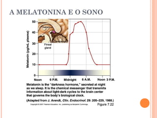 A MELATONINA E O SONO
 