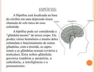 HIPÓFISE
      A Hipófise está localizada na base
do cérebro em uma depressão óssea
chamada de sela turca do osso
esfenóide.
      A hipófise pode ser considerada a
“glândula-mestre” do nosso corpo. Ela
produz vários hormônios e muitos deles
estimulam o funcionamento de outras
glândulas, com a tireóide, as supra-
renais e as glândulas-sexuais (ovários e
testículos). Esta nobre glândula
governa também a memória, a
sabedoria, a inteligência e o
pensamento.
 