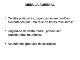 MEDULA ADRENAL
• Células poliédricas, organizadas em cordões
sustentados por uma rede de fibras reticulares;
• Origina-se da crista neural, podem ser
consideradas neurônios;
• Abundantes grânulos de secreção;
 