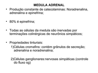 MEDULA ADRENAL
• Produção constante de catecolaminas: Noradrenalina,
adrenalina e epinefrina;
• 80% é epinefrina;
• Todas as células da medula são inervadas por
terminações colinérgicas de neurônios simpáticos;
• Propriedades tinturiais:
1)Células cromafins: contém grânulos de secreção;
adrenalina e noradrenalina;
2)Células ganglionares:nervosas simpáticas (controle
do fluxo sg)
 