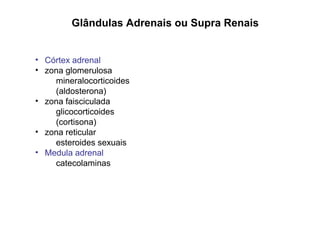 Glândulas Adrenais ou Supra Renais
• Córtex adrenal
• zona glomerulosa
mineralocorticoides
(aldosterona)
• zona faisciculada
glicocorticoides
(cortisona)
• zona reticular
esteroides sexuais
• Medula adrenal
catecolaminas
 