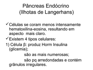 Pâncreas Endócrino
(Ilhotas de Langerhans)
Células se coram menos intensamente
hematoxilina-eosina, resultando em
aspecto mais claro.
Existem 4 tipos celulares:
1) Célula β: produz Horm Insulina
(glicemia);
são as mais numerosas;
são pq arredondadas e contém
grânulos irregulares.
 