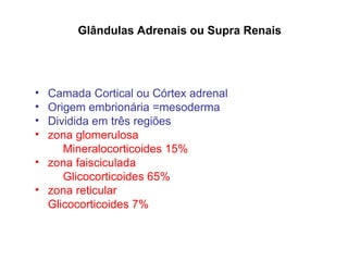 Glândulas Adrenais ou Supra Renais
• Camada Cortical ou Córtex adrenal
• Origem embrionária =mesoderma
• Dividida em três regiões
• zona glomerulosa
Mineralocorticoides 15%
• zona faisciculada
Glicocorticoides 65%
• zona reticular
Glicocorticoides 7%
 