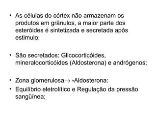 • As células do córtex não armazenam os
produtos em grânulos, a maior parte dos
esteróides é sintetizada e secretada após
estimulo;
• São secretados: Glicocorticóides,
mineralocorticóides (Aldosterona) e andrógenos;
• Zona glomerulosa→ -Aldosterona:
• Equilíbrio eletrolítico e Regulação da pressão
sangüínea;
 