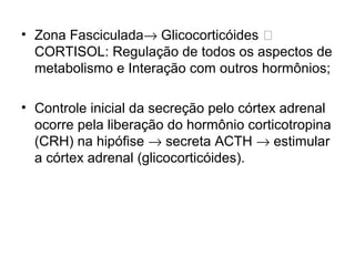 • Zona Fasciculada→ Glicocorticóides 
CORTISOL: Regulação de todos os aspectos de
metabolismo e Interação com outros hormônios;
• Controle inicial da secreção pelo córtex adrenal
ocorre pela liberação do hormônio corticotropina
(CRH) na hipófise → secreta ACTH → estimular
a córtex adrenal (glicocorticóides).
 