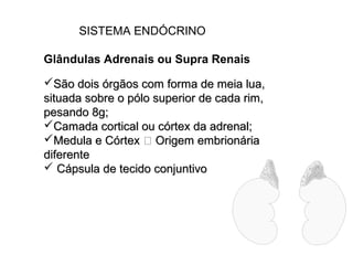 SISTEMA ENDÓCRINO
Glândulas Adrenais ou Supra Renais
São dois órgãos com forma de meia lua,São dois órgãos com forma de meia lua,
situada sobre o pólo superior de cada rim,situada sobre o pólo superior de cada rim,
pesando 8g;pesando 8g;
Camada cortical ou córtex da adrenal;Camada cortical ou córtex da adrenal;
Medula e CórtexMedula e Córtex  Origem embrionáriaOrigem embrionária
diferentediferente
 Cápsula de tecido conjuntivoCápsula de tecido conjuntivo
 