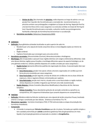 Universidade Federal do Rio de Janeiro
                                                                                                  Biomedicina
                                                                                                 Ludmila Alem


               o Células da Glia: São chamadas de pituicitos, estão dispostos ao longo do axônio e em sua
                 porção final. Quando não há estímulos para a secreção dos neurotransmissores, os
                 pituicitos emitem suas prolongações e englobam os Corpos de Herring. Naporção final faz
                 uma barreira física entre o vaso sanguíneo e as vesículas contidas no Corpo de Herring do
                 local. Quando há estímulos para a secreção, o pituicito recolhe seus prolongamentos
                 facilitando a liberação do hormônio/neurotransmissor e sua absorção.
          Hormônios secretados: Oxitocina e Vasopressina (ADH)



 ADRENAIS
 Definição: Duas glândulas achatadas localizadas no polo superior de cada rim.
      o Recoberta por uma cápsula de tecido conjuntivo denso e envia delgados septos ao interior da
          glândula.
      o Órgão cordonal.
      o Capilares fenestrados que convergem para uma veia central.
 Hormônios secretados: Glicocorticóides (Cortisol), Mineralocorticóides e Andrógenos.
 Morfologia: São encapsuladas e possuem duas regiões distintas com origens embrionárias diferentes. Cada
  uma dessas distintas regiões possui funções e morfologia diferentes apesar do aspecto histológico ser de
  uma glândula endócrina. (Células epiteliais dispostas em cordões cercados por vasos sanguíneos.)
      o Região Cortial: Apresenta diferentes padrões de organização de células. A vascularização não é por
          sistema porta.
          1) Zona Glomerulosa: porção mais apical; células colunares organizadas em cordões que tem
               forma de arco envolvidos por vasos sanguíneos.
          2) Zona Fasciculada: porção seguinte; arranjo de células em cordões de uma ou duas células de
               espessura, retos e regulares (feixes), entremeados por capilares.
          3) Zona Reticulada: porção mais interna, situada entre a zona fasciculada e a região medular,
               células dispostas em cordões irregulares que formam uma rede anastomosada.
      o Região Medular: Células Cromafins (Neurônios Modificados) e Neurônios do Sist. Nervoso
          Simpático.
               Células Cromafins: Possui abundantes grânulos de secreção contendo ou epinefrina ou
               norepinefrina; ATP; dopamina B hidroxilase (que converte dopamina em norepinefrina).
 TIREÓIDE
o Definição: Glândula endócrina folicular recoberta por uma cápsula de tecido conjuntivo frouxo; localizada
  anterior a laringe e constituída por dois lóbulos. Sintetiza os hormônios T3 e T4.
o Mecanismo regulador: hormônio tireotrópico (TSH). O TSH estimula todas as etapas de produção dos
  hormônios tireoidianos.
o Composição
       A tireoide é composta por folículos tireoidianos que são circulares, formados por epitélio simples e
          tem cavidade preenchida por coloide (substância gelatinosa feita de glicoproteínas em meio              2
          líquido.) A principal glicoproteína armazenada no coloide é a tireoglobulina.



                                                                                   Histologia | 3º Período/2013
 