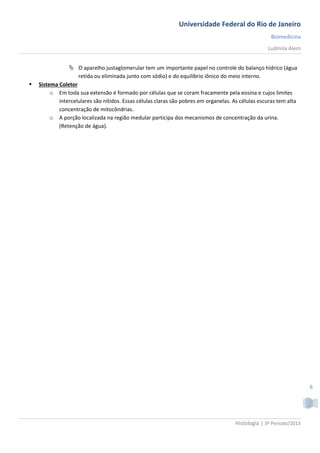 Universidade Federal do Rio de Janeiro
                                                                                                     Biomedicina
                                                                                                    Ludmila Alem


                 O aparelho justaglomerular tem um importante papel no controle do balanço hídrico (água
                    retida ou eliminada junto com sódio) e do equilíbrio iônico do meio interno.
   Sistema Coletor
         o Em toda sua extensão é formado por células que se coram fracamente pela eosina e cujos limites
            intercelulares são nítidos. Essas células claras são pobres em organelas. As células escuras tem alta
            concentração de mitocôndrias.
         o A porção localizada na região medular participa dos mecanismos de concentração da urina.
            (Retenção de água).




                                                                                                                     6




                                                                                      Histologia | 3º Período/2013
 