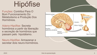 Funções: Contribui Para O
Bom Funcionamento Do
Metabolismo e Produção Dos
Hormônios.
Adeno-Hipófise: Secreta
hormônios a partir da liberação
e secreção de hormônios que
passam pelo hipotálamo.
Neuro-Hipófise: Armazenar e
secretar dois neuro-hormônios.
20XX título da apresentação 4
Hipófise
 