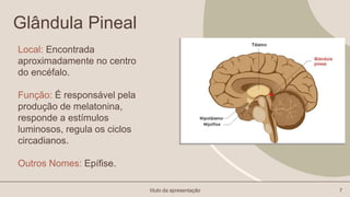 Glândula Pineal
Local: Encontrada
aproximadamente no centro
do encéfalo.
Função: É responsável pela
produção de melatonina,
responde a estímulos
luminosos, regula os ciclos
circadianos.
Outros Nomes: Epífise.
título da apresentação 7
 