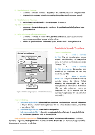 23
k) Metabolismo de Proteínas
 Aumenta a síntese e aumenta a degradação das proteínas, causando uma proteólise.
 O anabolismo supera o catabolismo, realizando um balanço nitrogenado normal.
l) Metabolismo de Vitaminas
 Estimula a conversão hepática de caroteno em vitamina A.
m) Trato Gastrointestinal
 Aumenta a liberação de secreções gástricas e da motilidade do bolo fecal pelo trato
gastrointestinal.
n) Ação sobre outras glândulas endócrinas
 Aumenta a secreção de várias outras glândulas endócrinas, e consequentemente o
aumento da necessidade tecidual pelo hormônio.
 Inativa os glicocorticóides adrenais no fígado, estimulando a produção do ACTH.
Regulação da Secreção Tireoidiana
Fatores Estimulatórios
 Sobre a secreção
de TRH: Frio (via noradrenalina, porque
aumenta o metabolismo) e o ADH (porque
possui os mesmos neurônios secretores do
CRH e do TRH).
 Sobre a secreção
de TSH (tireotropina): Estrogênios, pois
aumentam os receptores de TRH nos
tireotrófos e o TRH.
 Sobre a secreção
de T3 e T4: TSH (pois aumenta a síntese e
secreção através do sistema AMPc),
aumento da concentração de TBG e
imunoglobulinas estimulantes da tireóide
(IGg que são anticorpos contra os
receptores do TSH na tireóide, eles se
ligam aos receptores do TSH e o estimulam
na tireóide).
Fatores Inibitórios
 Sobre a secreção de TRH: Somatostatina, dopamina, glicocorticóides, opiáceos endógenos
e T3 (pois diminui o número de receptores de TRH nas células da adenohipófise, impedindo
a secreção do TSH).
 Sobre a secreção do TSH: Somatostatina e dopamina.
 Sobre a secreção de T3 e T4: Ingestão excessiva de iodo, deficiência de iodo, deficiência
da deiodinase, tiouréias e inibição da peroxidase.
- Mecanismo Auto Regulatório: É independente do eixo, realizado através do iodo. A síntese do
hormônio é regulada pela disponibilidade de iodo nas células da tireóide. Isso mantém um equilíbrio fino
de estoque de hormônios na glândula.
 