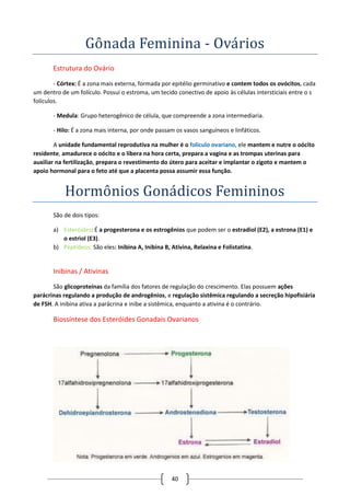 40
Gonada Feminina - Ovarios
Estrutura do Ovário
- Córtex: É a zona mais externa, formada por epitélio germinativo e contem todos os ovócitos, cada
um dentro de um folículo. Possui o estroma, um tecido conectivo de apoio às células intersticiais entre o s
folículos.
- Medula: Grupo heterogênico de célula, que compreende a zona intermediaria.
- Hilo: É a zona mais interna, por onde passam os vasos sanguíneos e linfáticos.
A unidade fundamental reprodutiva na mulher é o folículo ovariano, ele mantem e nutre o oócito
residente, amadurece o oócito e o libera na hora certa, prepara a vagina e as trompas uterinas para
auxiliar na fertilização, prepara o revestimento do útero para aceitar e implantar o zigoto e mantem o
apoio hormonal para o feto até que a placenta possa assumir essa função.
Hormonios Gonadicos Femininos
São de dois tipos:
a) Esteróides: É a progesterona e os estrogênios que podem ser o estradiol (E2), a estrona (E1) e
o estriol (E3).
b) Peptídeos: São eles: Inibina A, Inibina B, Ativina, Relaxina e Folistatina.
Inibinas / Ativinas
São glicoproteínas da família dos fatores de regulação do crescimento. Elas possuem ações
parácrinas regulando a produção de androgênios, e regulação sistêmica regulando a secreção hipofisiária
de FSH. A inibina ativa a parácrina e inibe a sistêmica, enquanto a ativina é o contrário.
Biossíntese dos Esteróides Gonadais Ovarianos
 