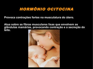 HORMÔNIO OCITOCINA
Provoca contrações fortes na musculatura do útero.
Atua sobre as fibras musculares lisas que envolvem as
glândulas mamárias, provocando contração e a secreção do
leite.
 