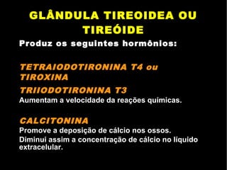 GLÂNDULA TIREOIDEA OU
TIREÓIDE
Produz os seguintes hormônios:
TETRAIODOTIRONINA T4 ou
TIROXINA
TRIIODOTIRONINA T3
Aumentam a velocidade da reações químicas.
CALCITONINA
Promove a deposição de cálcio nos ossos.
Diminui assim a concentração de cálcio no líquido
extracelular.
 