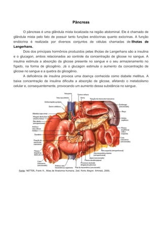 Pâncreas
O pâncreas é uma glândula mista localizada na região abdominal. Ele é chamado de
glândula mista pelo fato de possuir tanto funções endócrinas quanto exócrinas. A função
endócrina é realizada por diversos conjuntos de células chamadas de Ilhotas de
Langerhans.
Dois dos principais hormônios produzidos pelas ilhotas de Langerhans são a insulina
e o glucagon, ambos relacionados ao controle da concentração de glicose no sangue. A
insulina estimula a absorção da glicose presente no sangue e o seu armazenamento no
fígado, na forma de glicogênio. Já o glucagon estimula o aumento da concentração de
glicose no sangue e a quebra do glicogênio.
A deficiência de insulina provoca uma doença conhecida como diabete mellitus. A
baixa concentração de insulina dificulta a absorção de glicose, afetando o metabolismo
celular e, consequentemente, provocando um aumento dessa substância no sangue.

Fonte: NETTER, Frank H.. Atlas de Anatomia Humana. 2ed. Porto Alegre: Artmed, 2000.

 