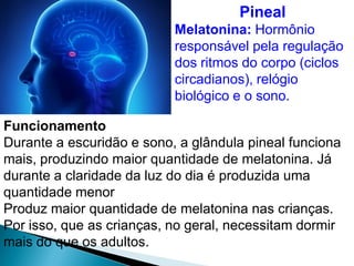 Pineal
Melatonina: Hormônio
responsável pela regulação
dos ritmos do corpo (ciclos
circadianos), relógio
biológico e o sono.
Funcionamento
Durante a escuridão e sono, a glândula pineal funciona
mais, produzindo maior quantidade de melatonina. Já
durante a claridade da luz do dia é produzida uma
quantidade menor
Produz maior quantidade de melatonina nas crianças.
Por isso, que as crianças, no geral, necessitam dormir
mais do que os adultos.
 