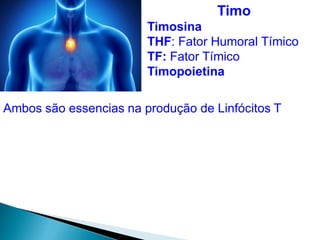 Timo
Timosina
THF: Fator Humoral Tímico
TF: Fator Tímico
Timopoietina
Ambos são essencias na produção de Linfócitos T
 