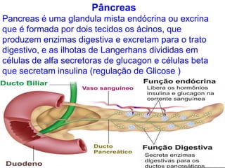 Pâncreas
Pancreas é uma glandula mista endócrina ou excrina
que é formada por dois tecidos os ácinos, que
produzem enzimas digestiva e excretam para o trato
digestivo, e as ilhotas de Langerhans divididas em
células de alfa secretoras de glucagon e células beta
que secretam insulina (regulação de Glicose )
 