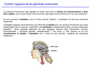 Control i regulació de les glàndules endocrines La producció d'hormones està regulada en molts casos per un  sistema de retroalimentació o feed-back negatiu , que fa que l'excés d'una hormona vagi seguit d'una disminució en la seva producció.  Es pot considerar l' hipotàlem , com el centre nerviós "director" i controlador de totes les secrecions endocrines:  L'hipotàlem segrega neurohormones que estimulen  la hipòfisi  per a la secreció d'hormones que seran transportades per la sang per a estimular a les  glàndules  corresponents (tiroide, escorça suprarrenal, gònades) i seran aquestes glàndules les que segreguin diversos tipus d'hormones, (tiroxina, corticosteroides i hormones sexuals, respectivament ), les quals, a més d'actuar en el cos,  retroalimenten la hipòfisi i l'hipotàlem  per a inhibir la seva activitat i equilibrar les secrecions respectives . HIPOTÀLEM HIPÒFISI 