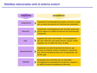 Malalties relacionades amb el sistema endocrí 