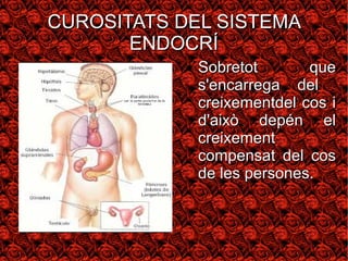 CCUURROOSSIITTAATTSS DDEELL SSIISSTTEEMMAA 
EENNDDOOCCRRÍÍ 
● SSoobbrreettoott qquuee 
ss''eennccaarrrreeggaa ddeell 
ccrreeiixxeemmeennttddeell ccooss ii 
dd''aaiixxòò ddeeppéénn eell 
ccrreeiixxeemmeenntt 
ccoommppeennssaatt ddeell ccooss 
ddee lleess ppeerrssoonneess.. 
 