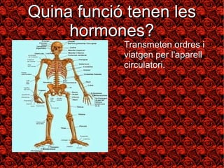 QQuuiinnaa ffuunncciióó tteenneenn lleess 
hhoorrmmoonneess?? 
Transmeten ordres i 
viatgen per l'aparell 
circulatori. 
 