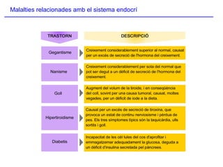 Malalties relacionades amb el sistema endocrí
 